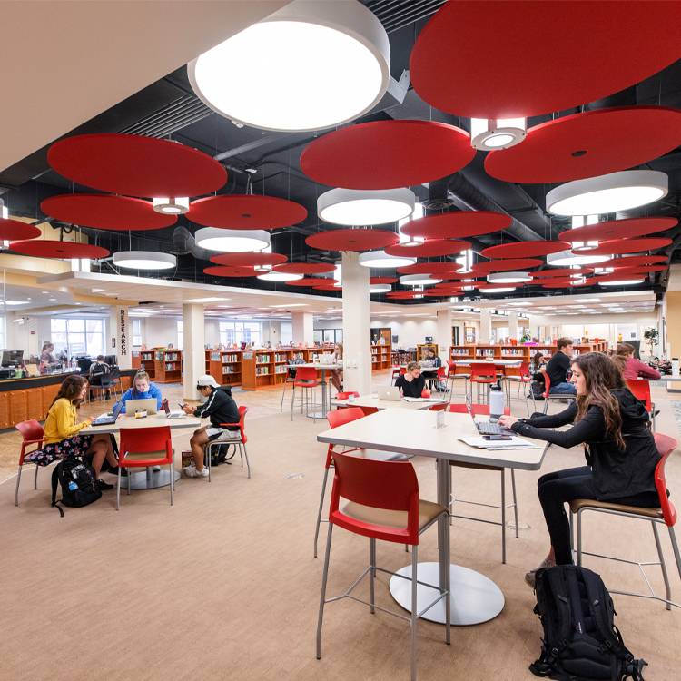 WSC students studying in the library