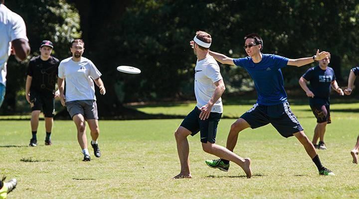 House Cat Ultimate (Coed)