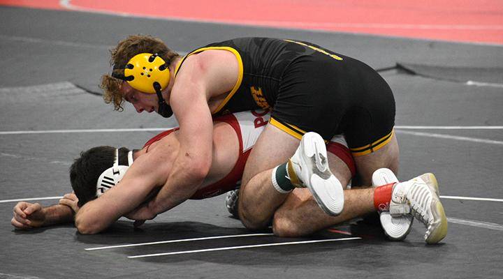 Wrestling