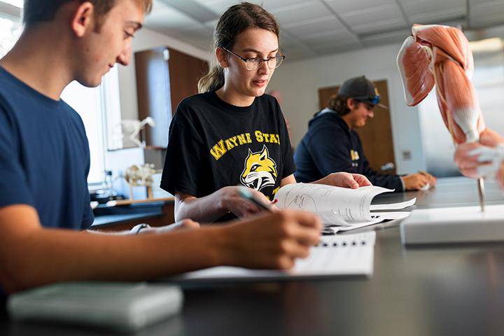 Students work in a science lab at Wayne State