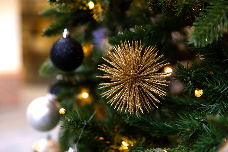 Festival of Trees