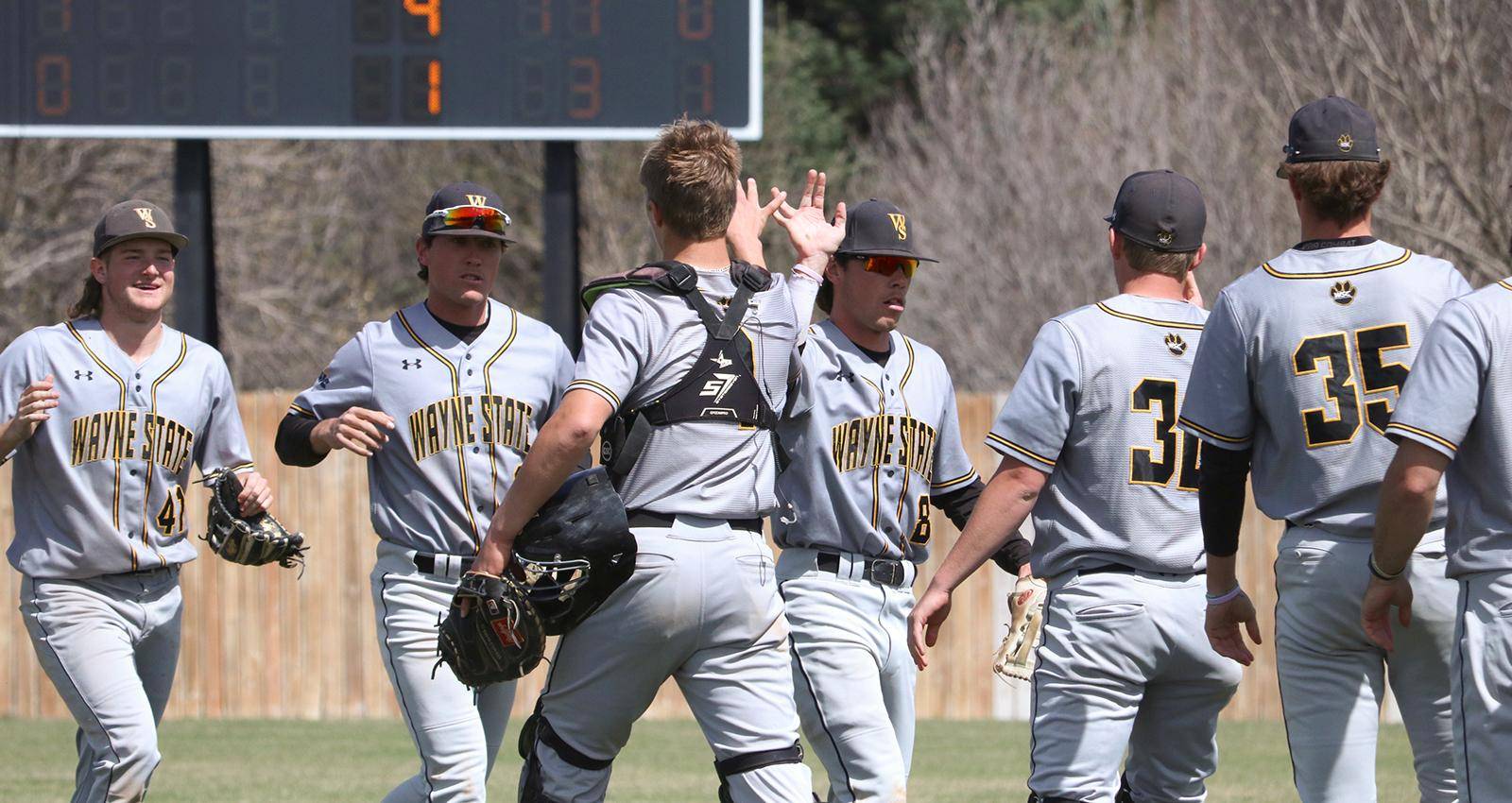 Wildcat Baseball