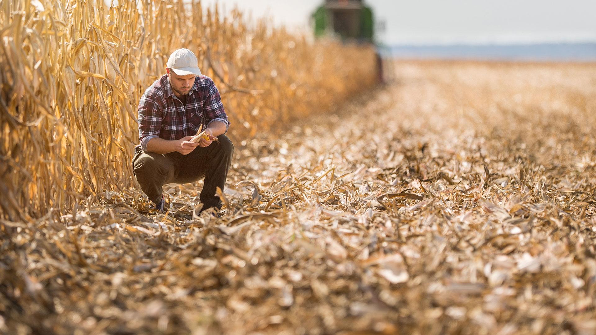 Agricultural communication degree program