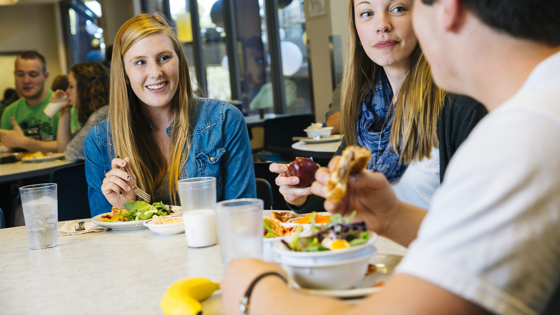 Foods and Nutrition Degree