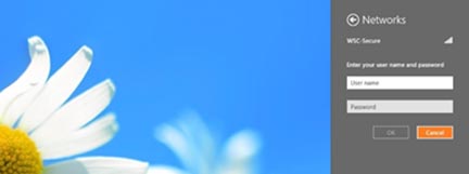 Windows8 internet access 4