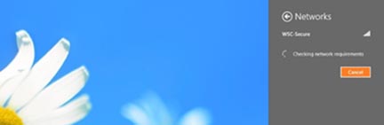 Windows8 internet access 6