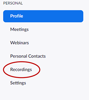 Zoom recording menu