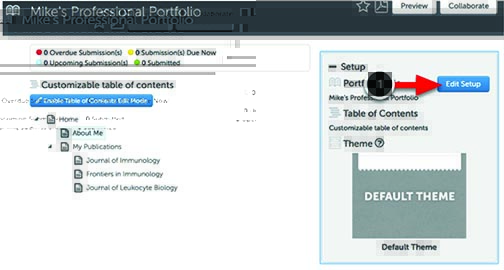 C w professional portfolio 16