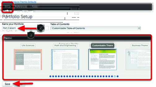 C w professional portfolio 17