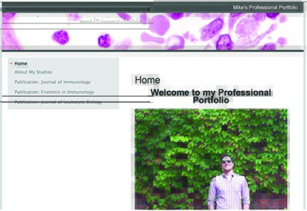 C w professional portfolio 21