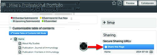 C w professional portfolio 22