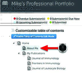 C w professional portfolio 9