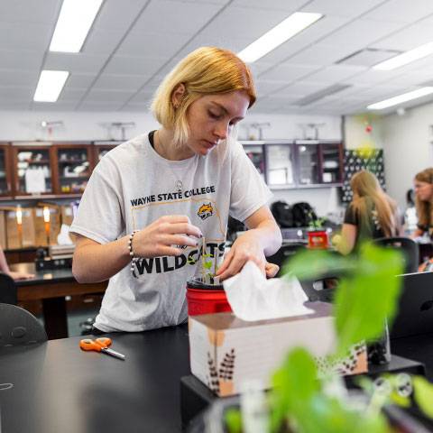 A student works in a biology lab