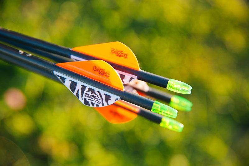 Archery Club