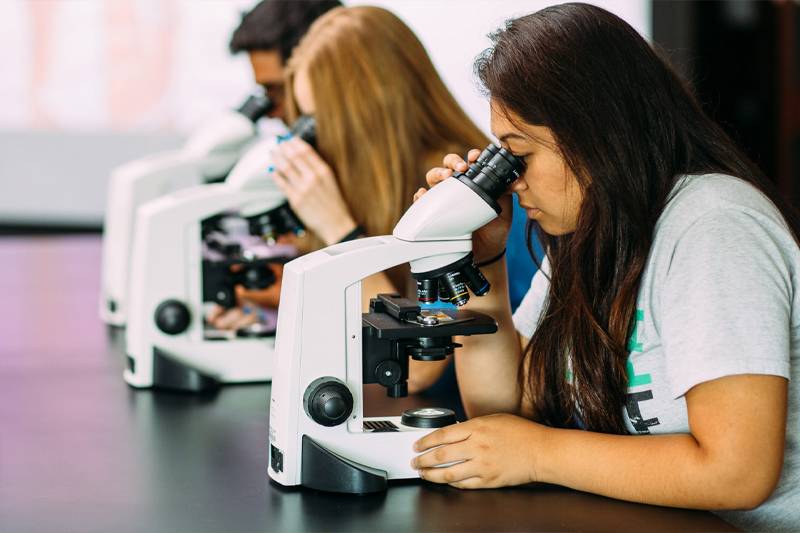 WSC students use microscopes in biology studies