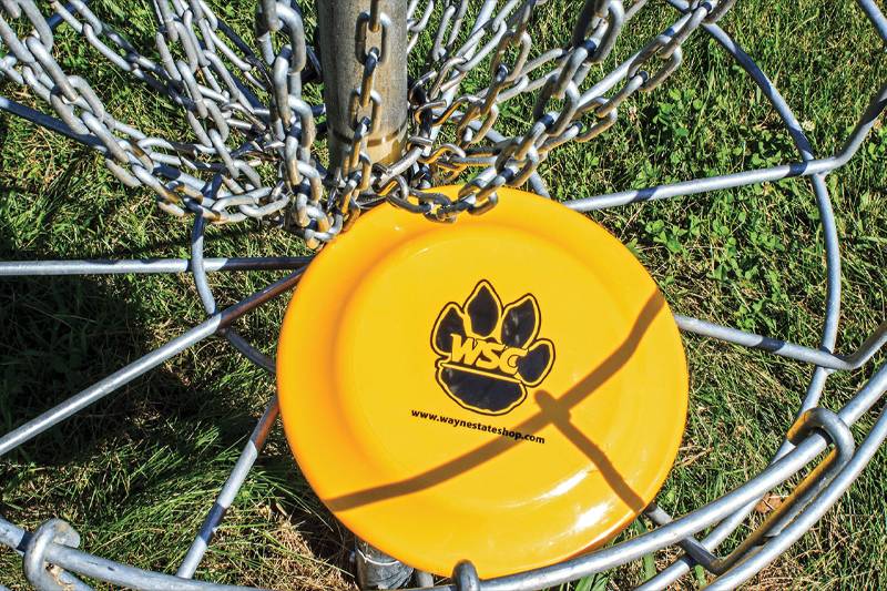 Disc golf at WSC