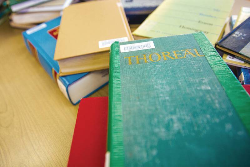 classic literature books from the WSC library