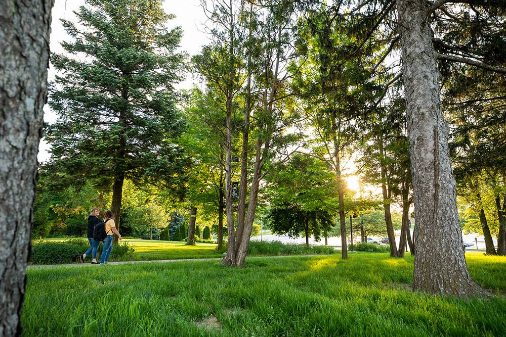 Trees line a path outside at Wayne State College