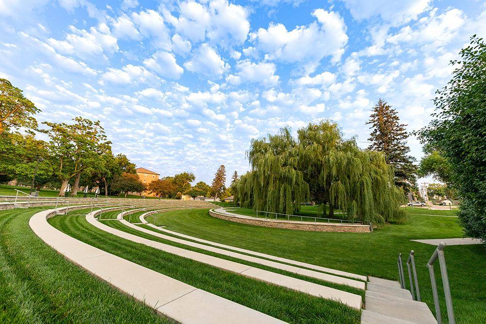 Willow Bowl