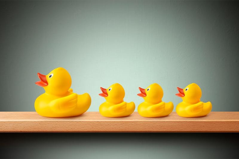 Image of rubber ducks