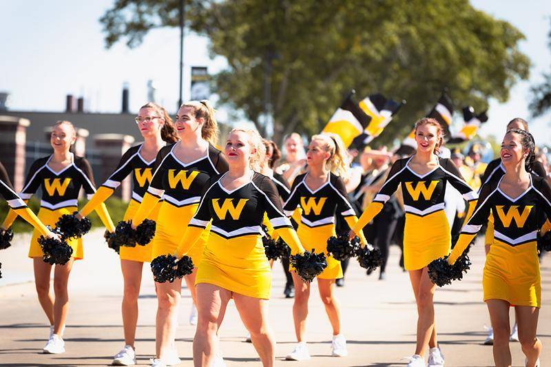 Wildcat Spirit