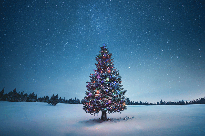 Season of Light 