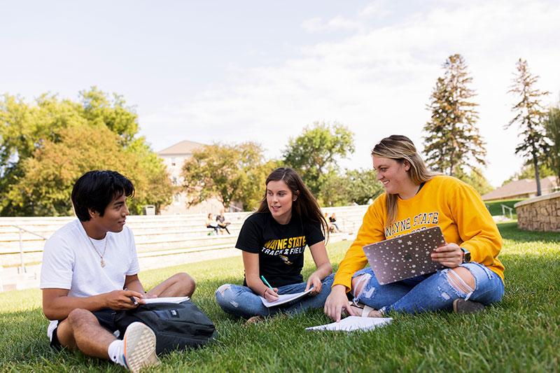 Students study in the Willow Bowl