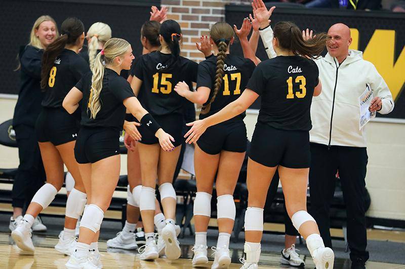 Wildcat Volleyball