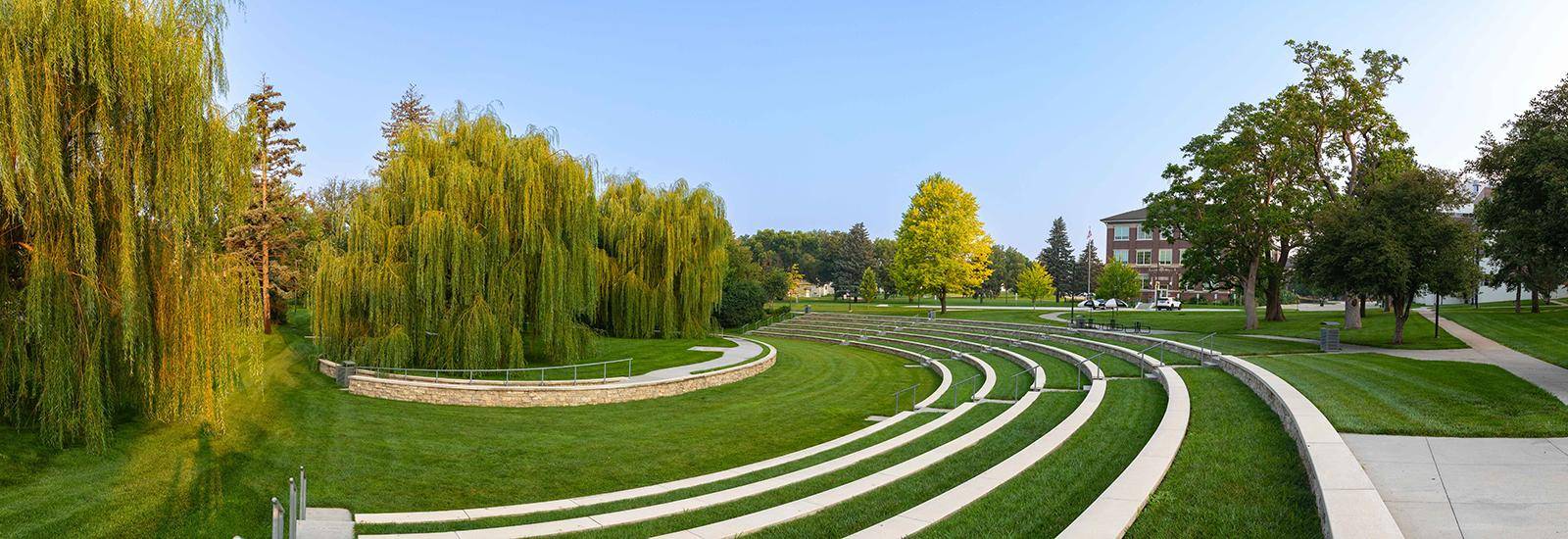 Willow Bowl