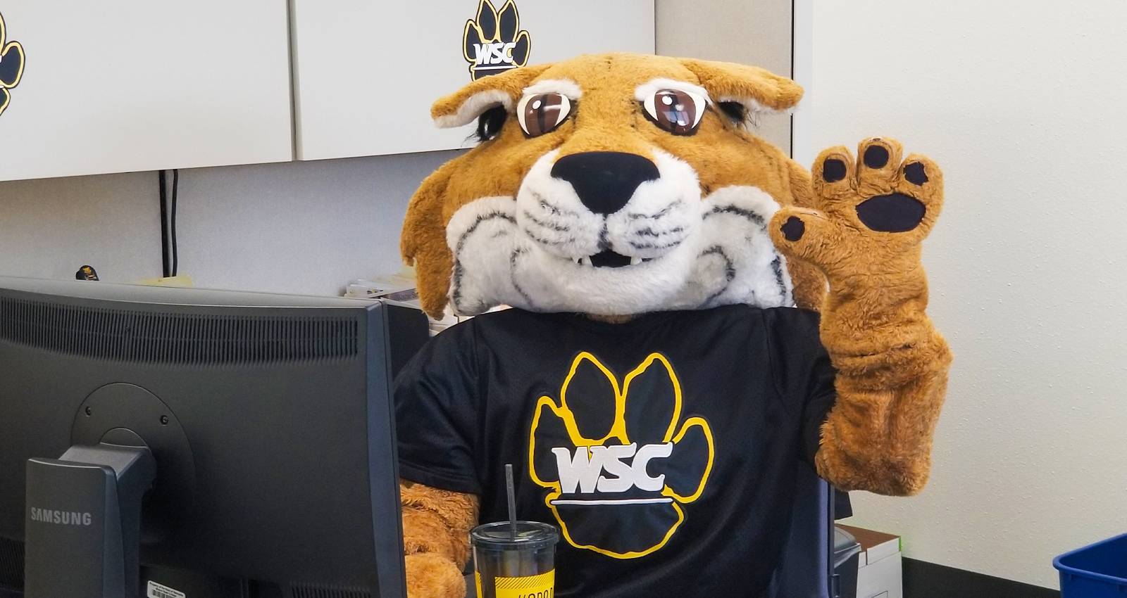 Willy the Wildcat at work on a computer