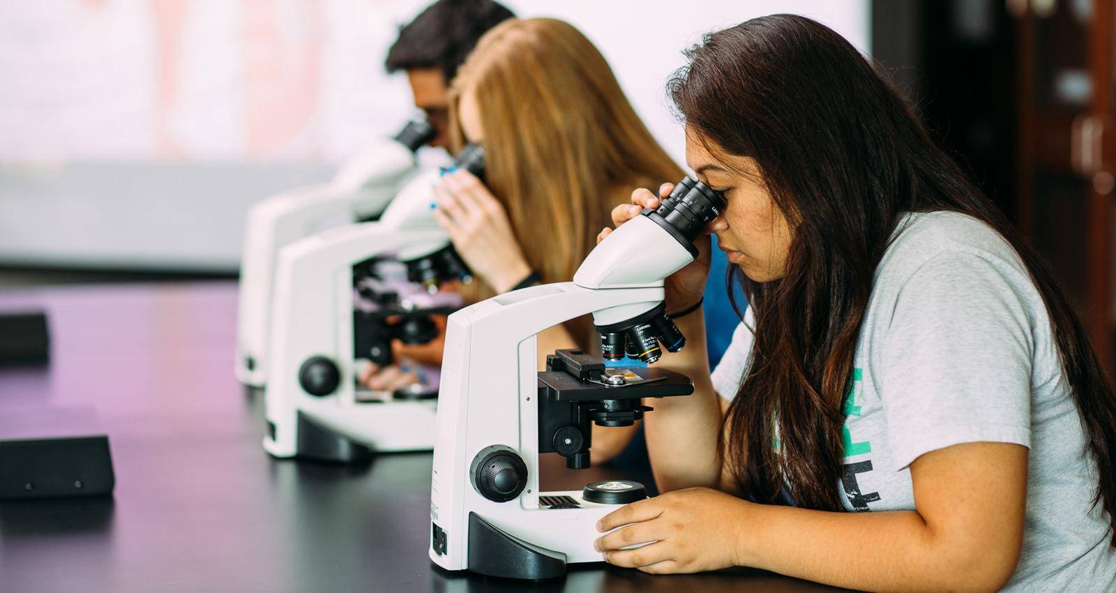 Life Sciences degree students use microscopes in a science lab