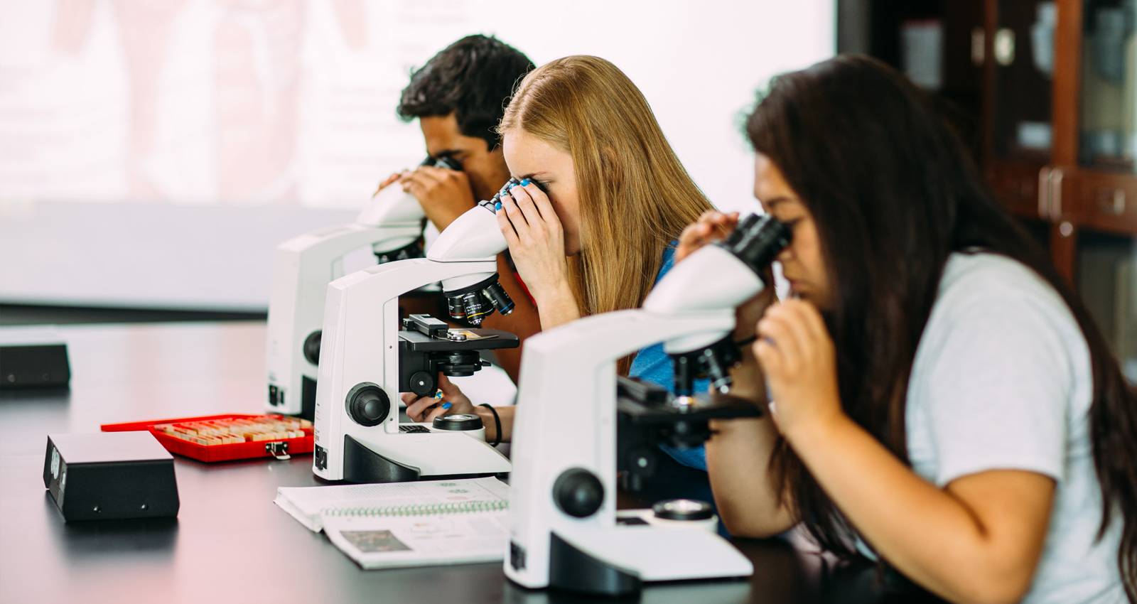 Students use microscopes in a biology lab