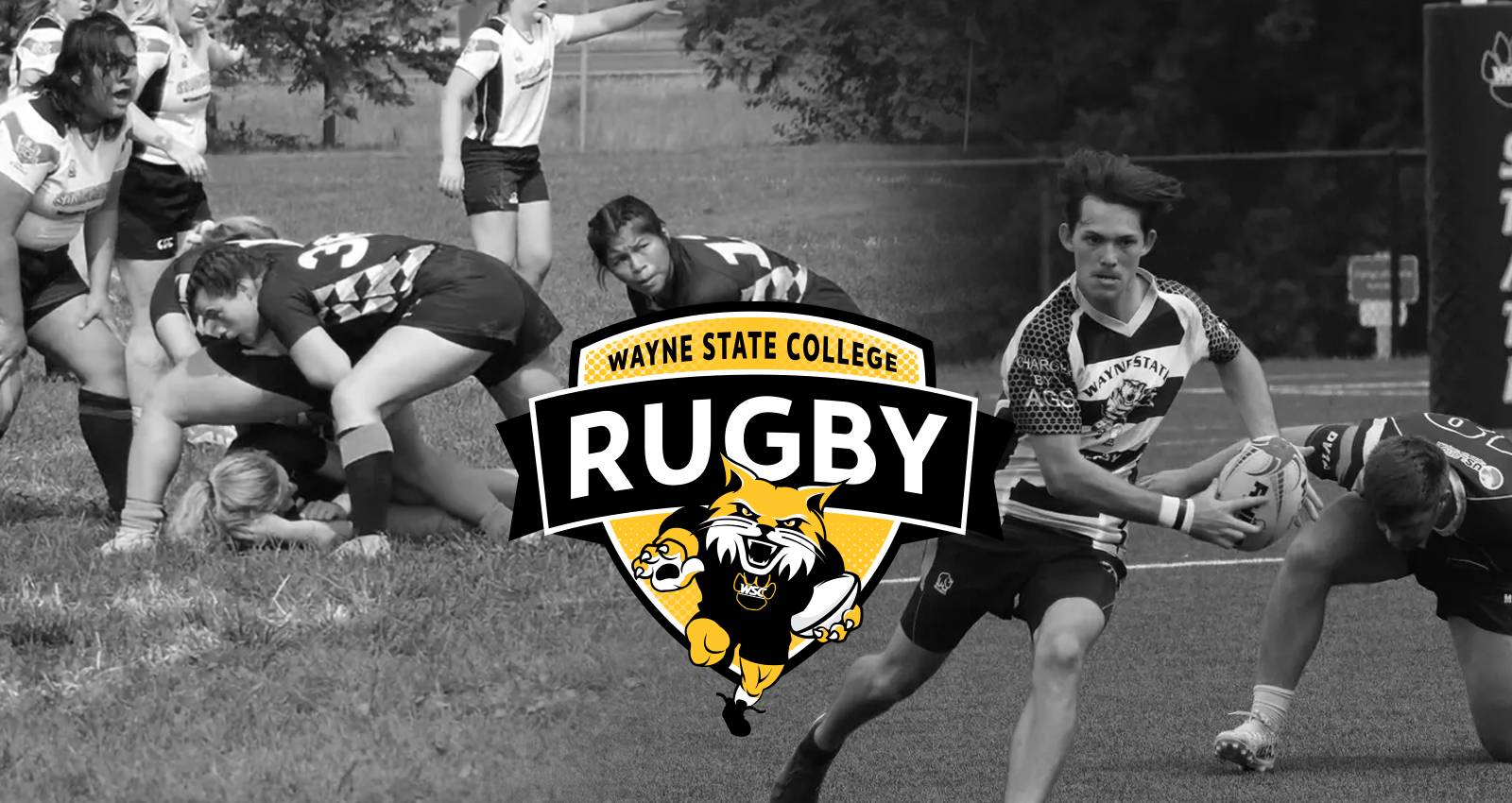 Men's and Women's Rugby Players