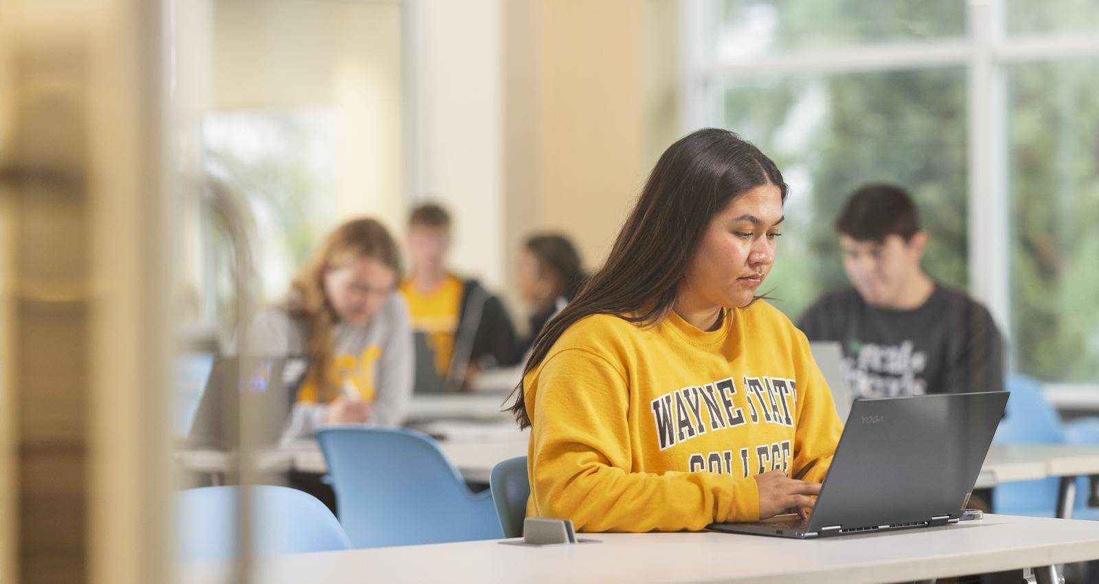A WSC student sits at a laptop