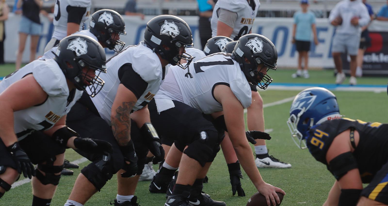 Photo of the Wildcat football team