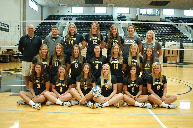 2015 volleyball team