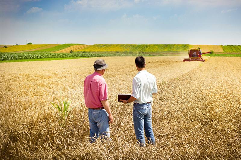 Agribusiness degree concept featuring businessmen in a field