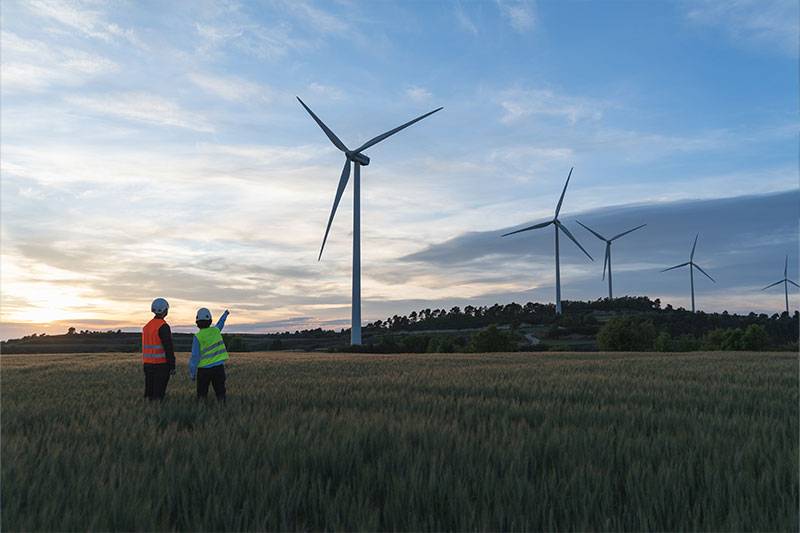 Agricultural engineers on a windmill farm