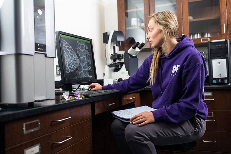 A biology degree student works with a cellular microscope in a biology lab at WSC