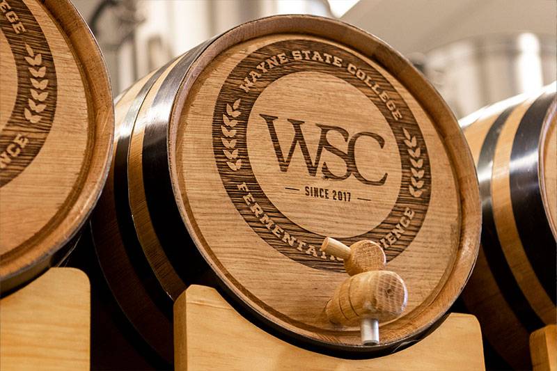 Wine barrels in the fermentation science degree lab at WSC
