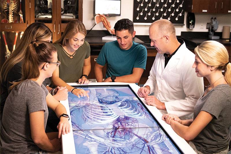 Students in the health sciences degree program work use a virtual anatomy table at WSC