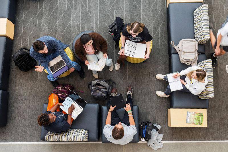 A group of students studies together