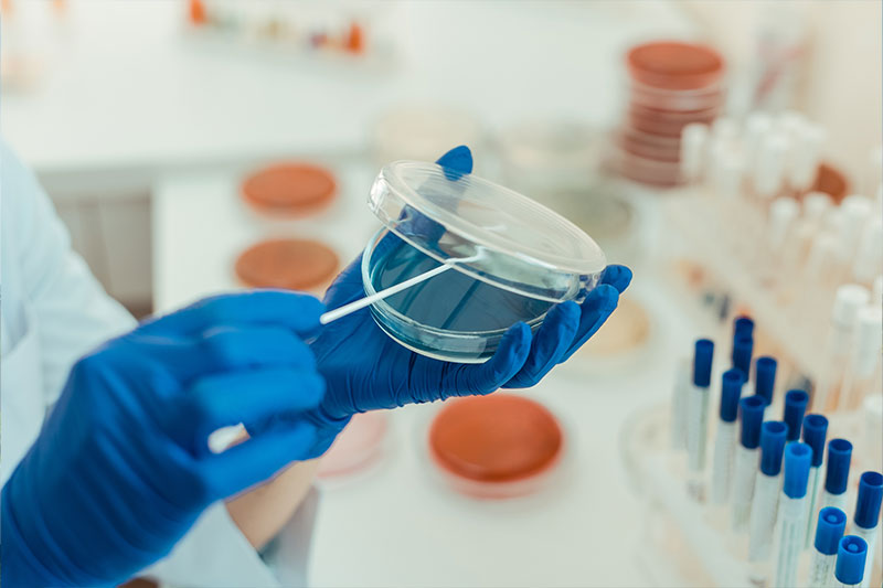 Medical lab science degree concept featuring a lab technician working on cell cultures