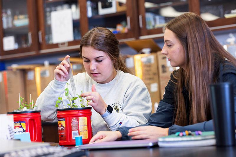 Plant biology degree concept featuring students working in a plant biology lab at WSC
