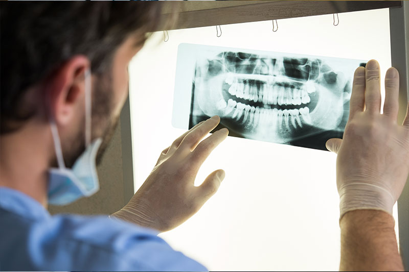Dentistry degree concept featuring a dentist looking at a tooth x-ray