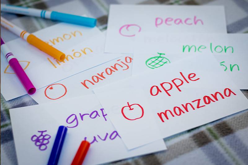 Spanish education degree concept featuring a teacher preparing a Spanish lesson