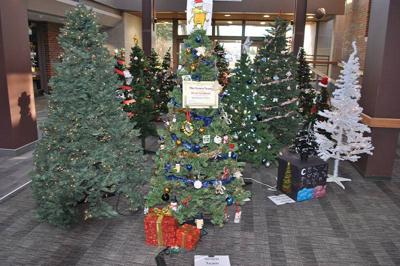 Festival of Trees 2023
