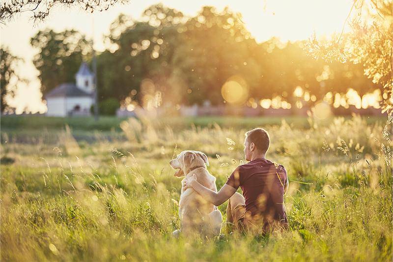A man sits with his dog in a grassy meadow
