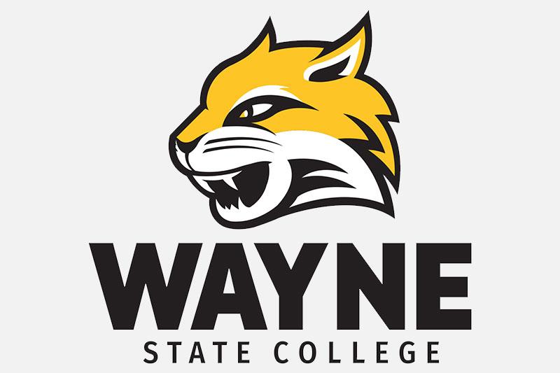 WSC Cat and wordmark logo