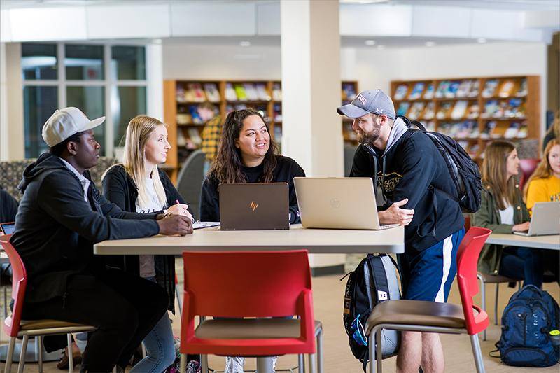 Students study in the WSC library